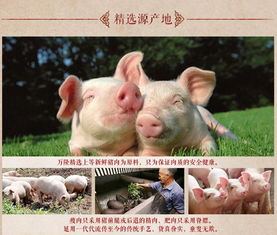 杭州特产万隆熟香肠 肉枣红肠即食零食品的经典风味